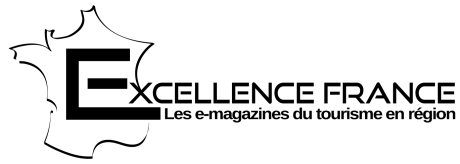 LogoExcellenceFranceok