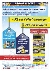 Affiche Revel Promo Electro CE